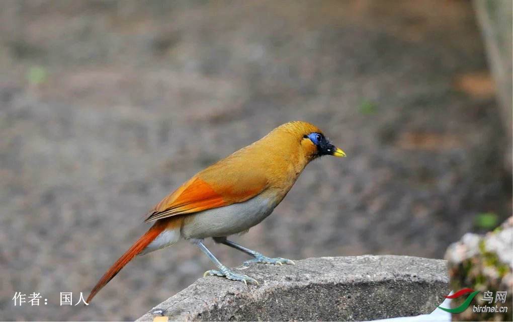 42  ������  ����1.jpg