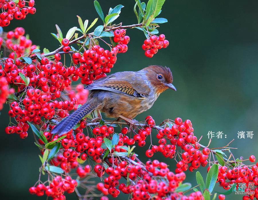 50 ̨��߳��̣��������̣� �I��.jpg