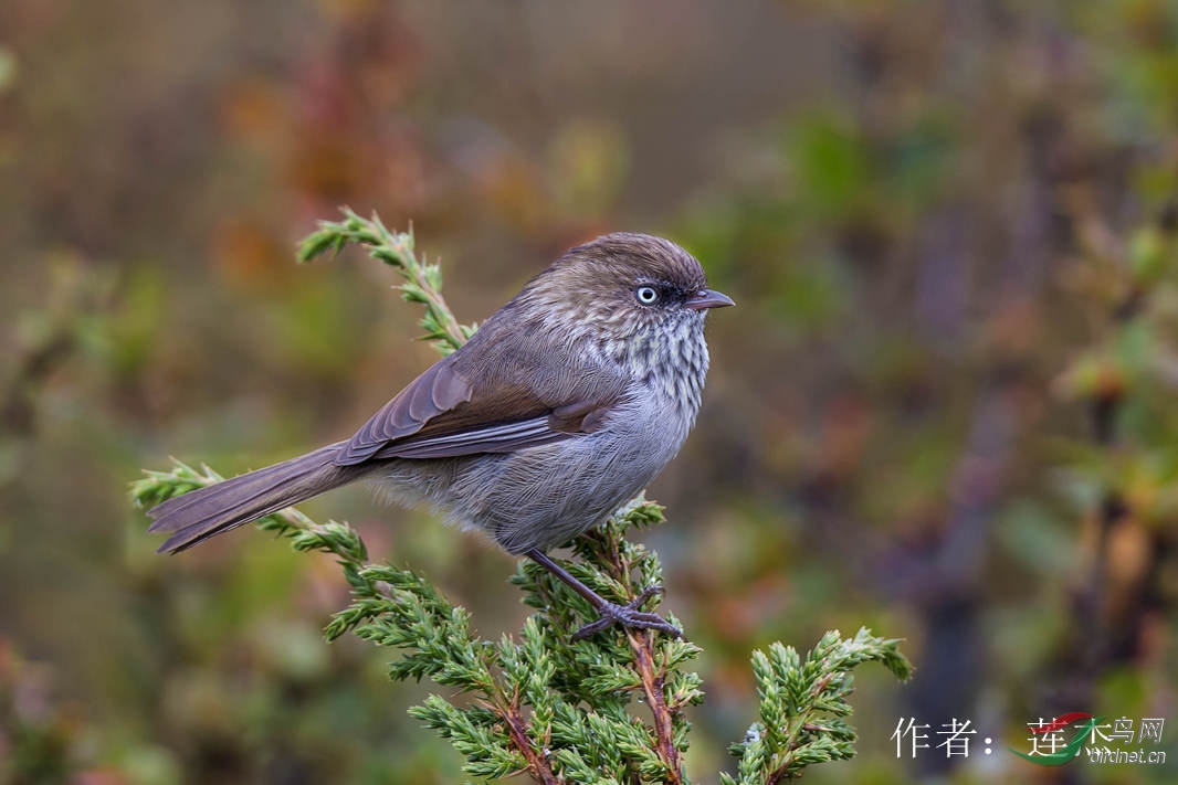 52 �л�ȸ�̣� ��ɽȸ��  ������.jpg