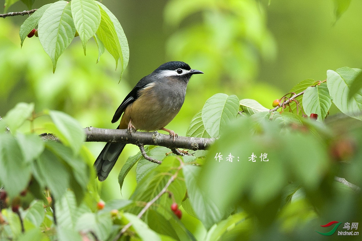 55 �׶�����   ����.jpg