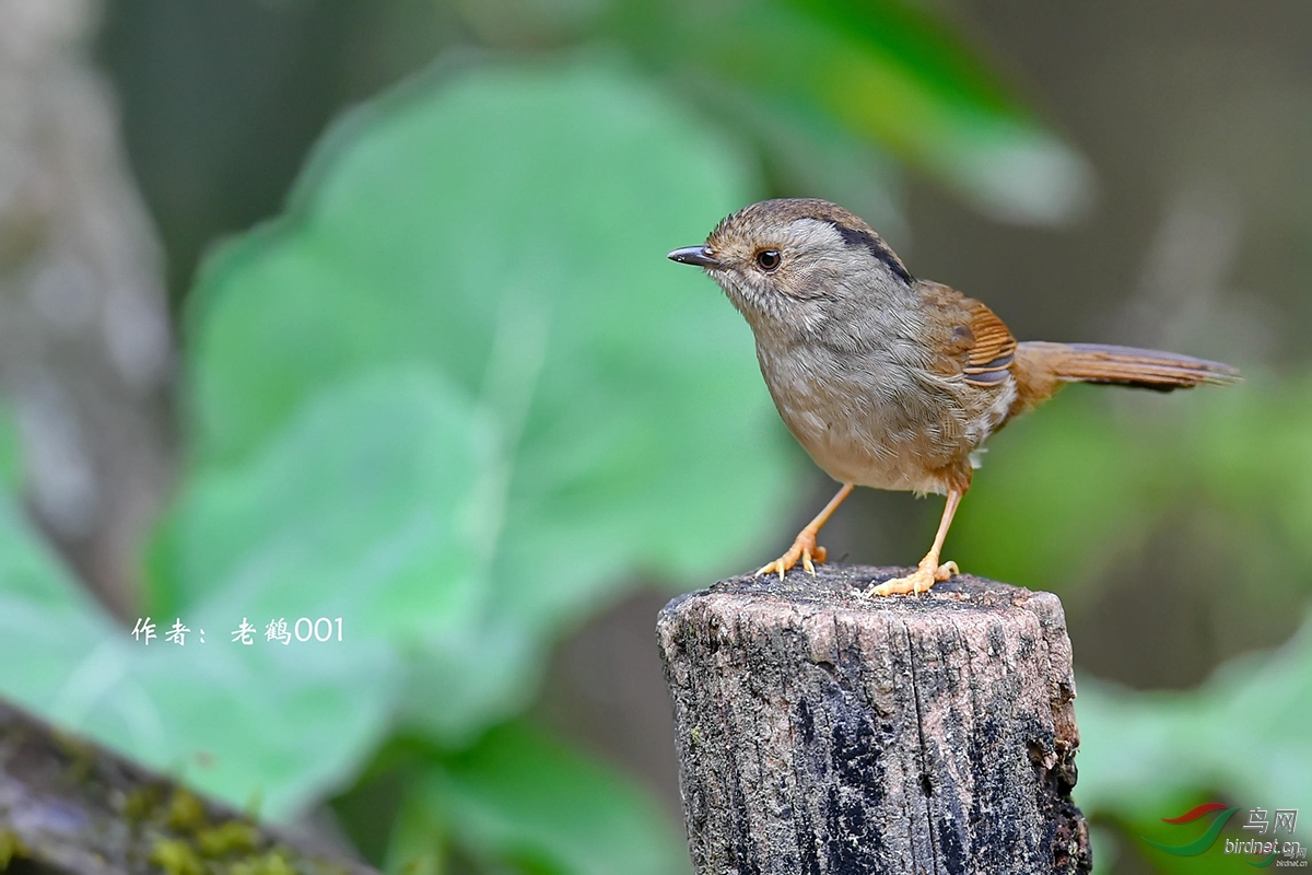 53�ֶ�ȸ��   �Ϻ�001.jpg