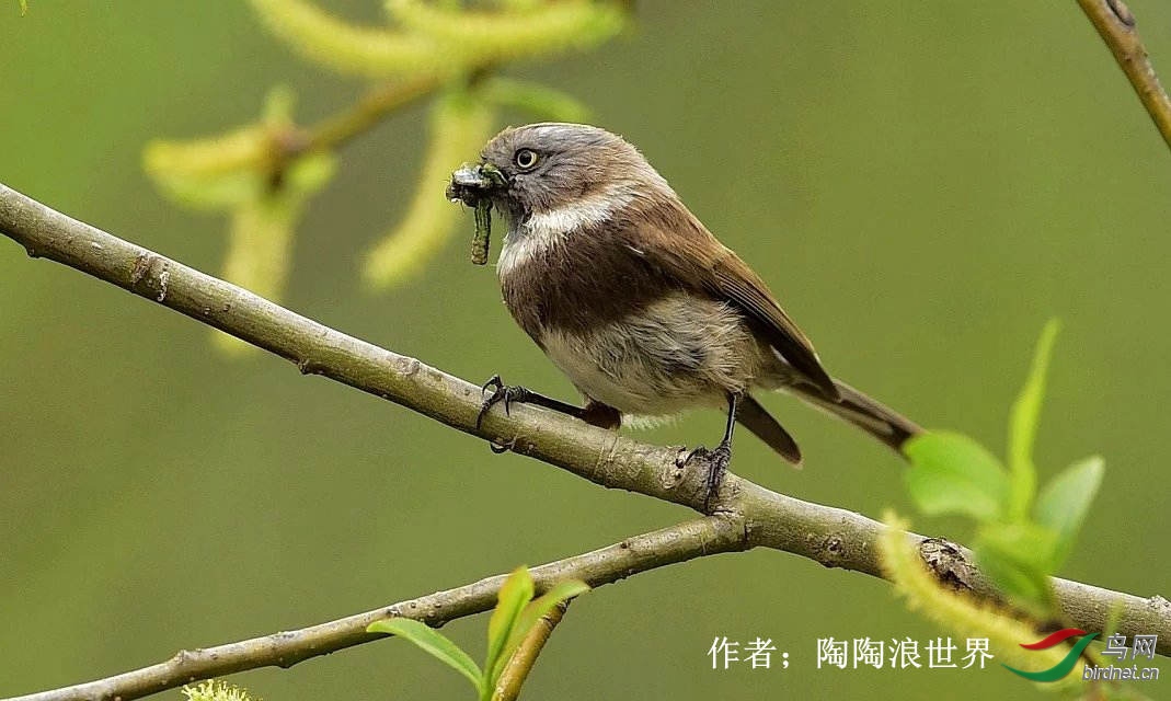 62 ������βɽȸ ����������.jpg