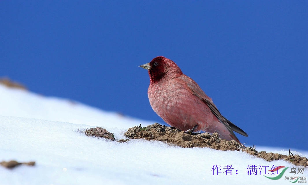 74  ��ȸ ������.jpg