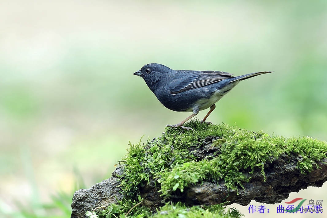 76���c   ���������.jpg