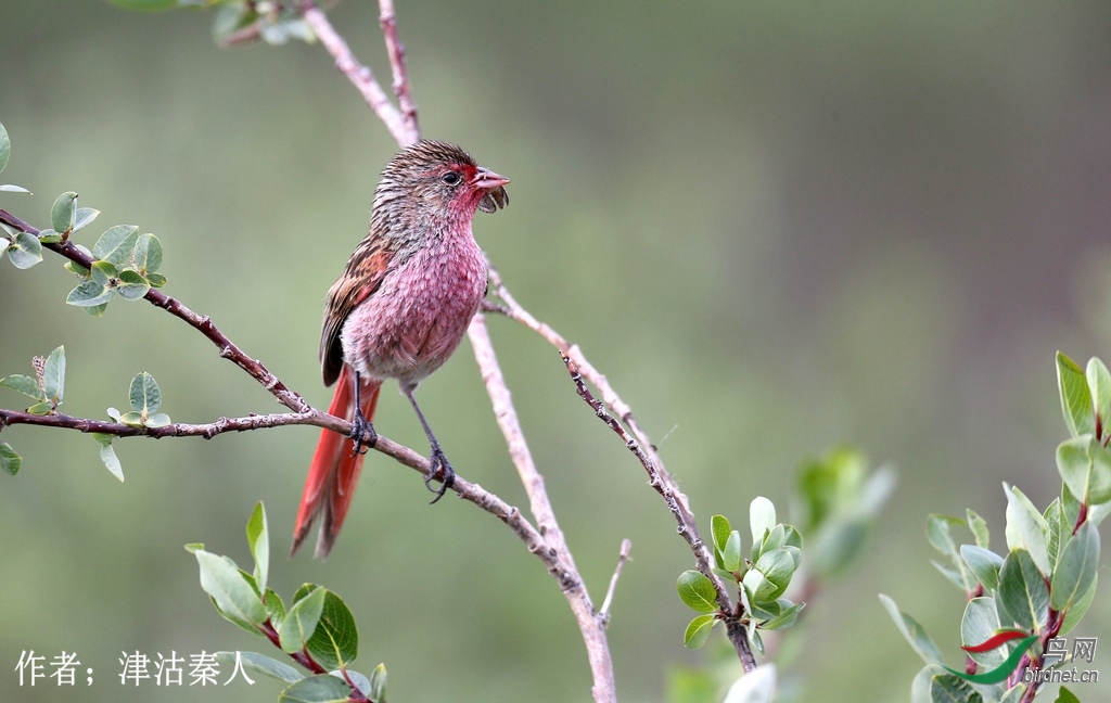 77���c����  �������.jpg