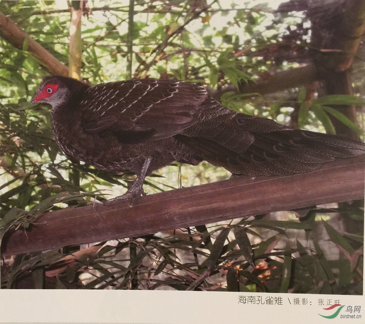 webwxgetmsgimg (3).jpg