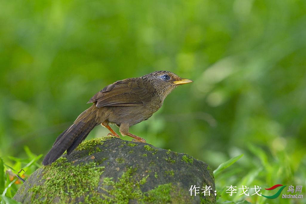 57  ̨�廭ü   ����.jpg