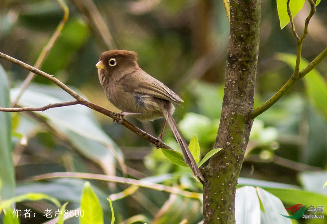 59 �׿�ѻȸ  ��¬8600.jpg