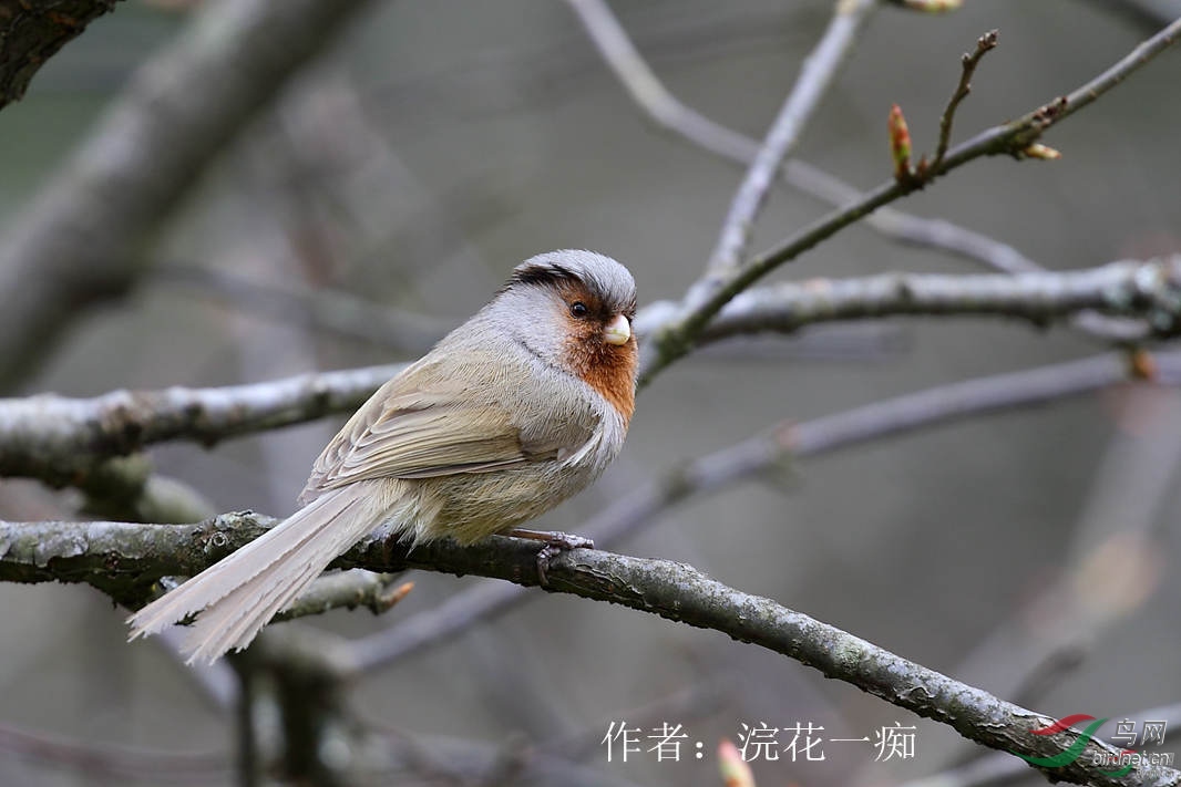 61�ҹ�ѻȸ  佻�һ��.jpg