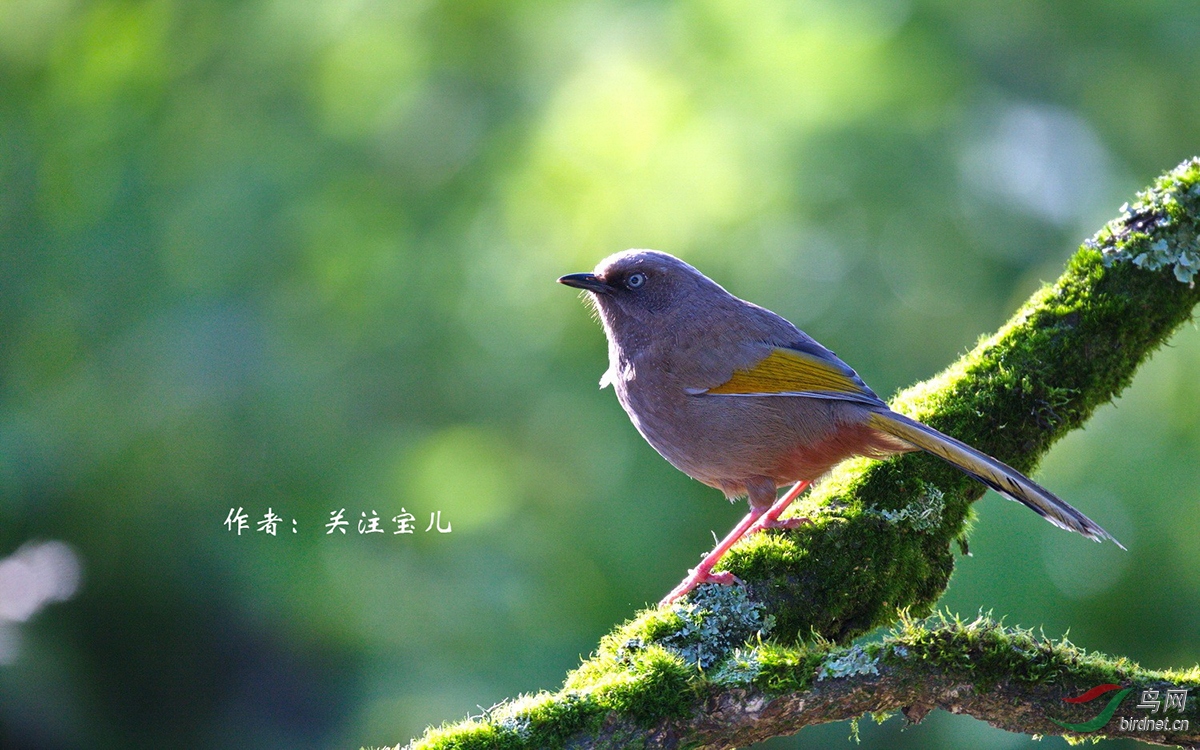 43 �ȳ�����  ��ע����.jpg