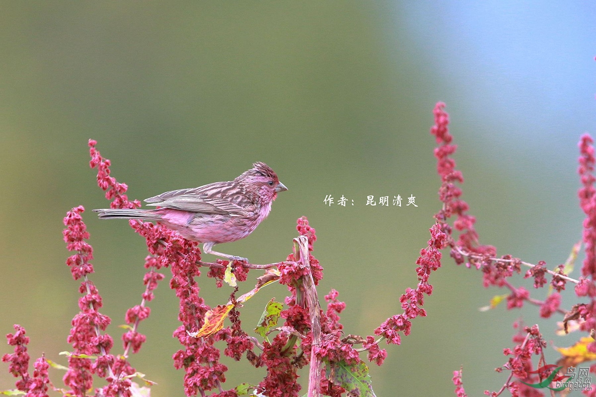 73�����ȸ  ������ˬ.jpg