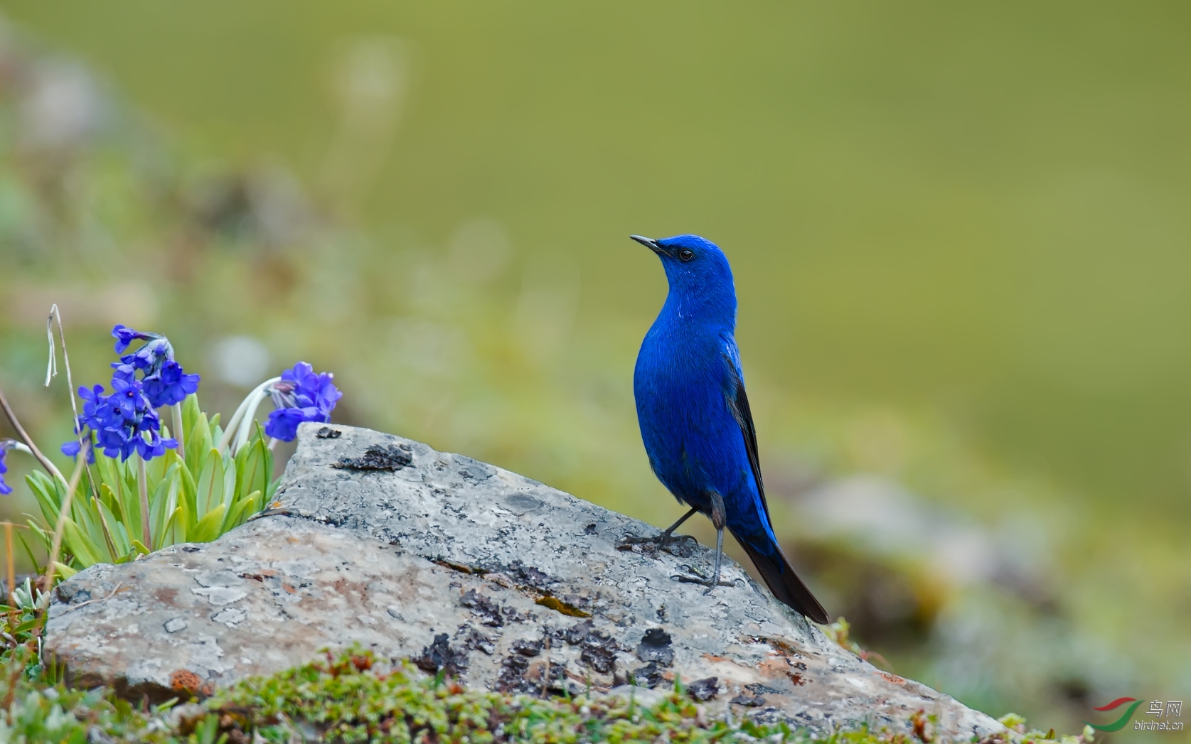 DSC_5212-1.jpg
