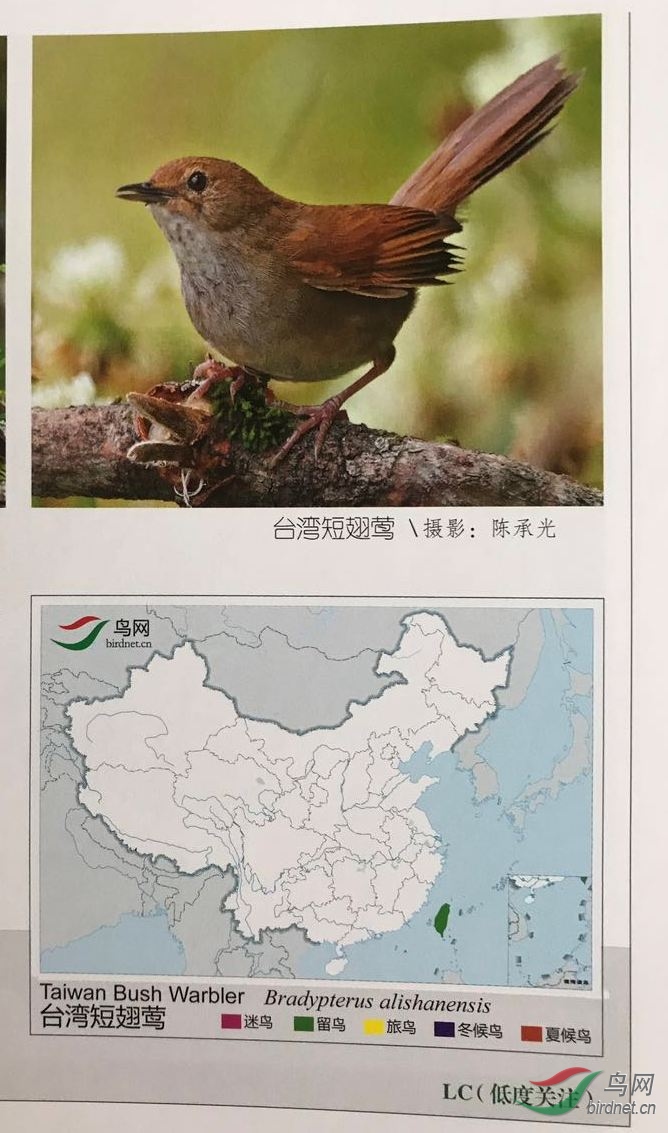 国内以地名命名的鸟名有多少种根据中国鸟类图志关注宝儿编辑整理