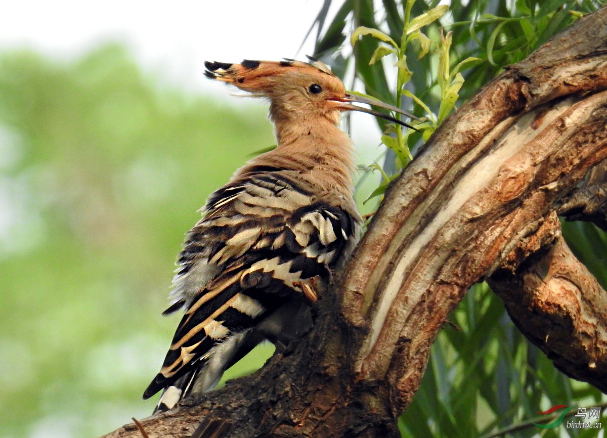 DSCN1654 ����.jpg