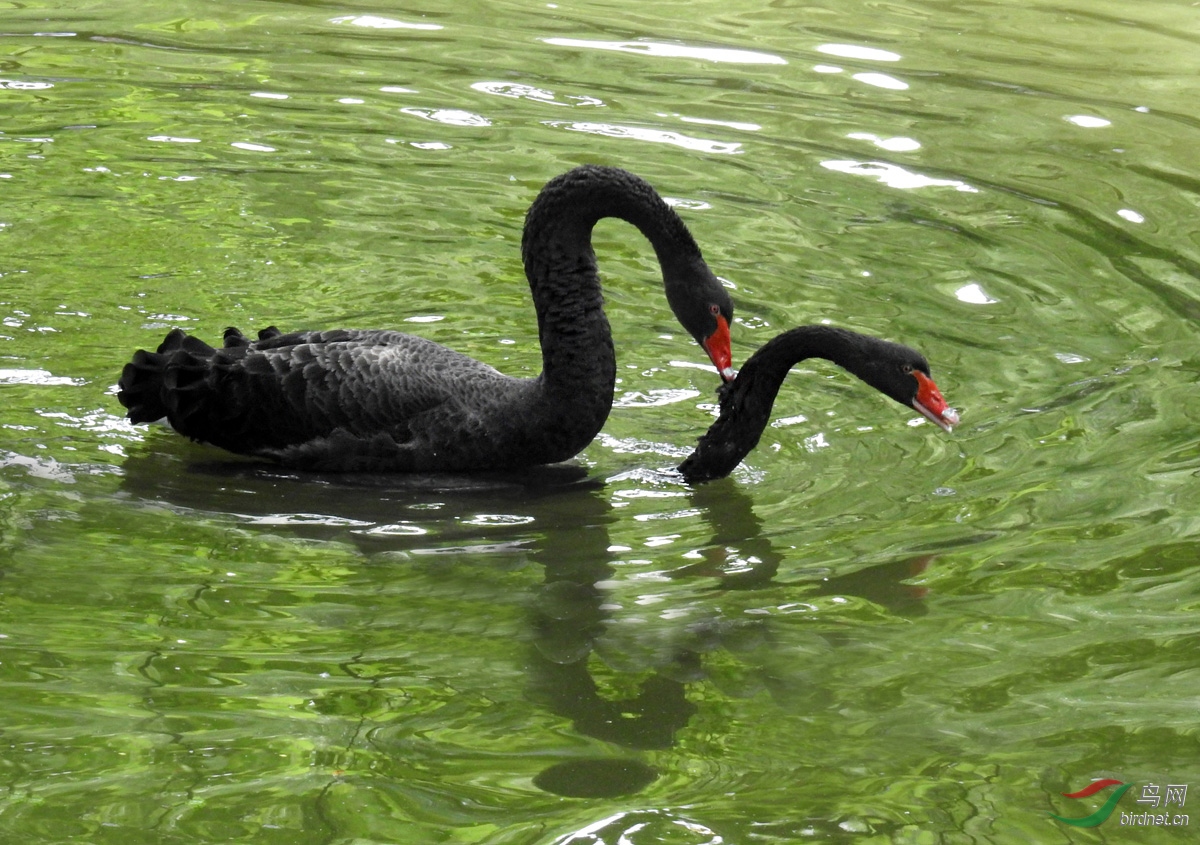 DSCN1861 ����2.jpg