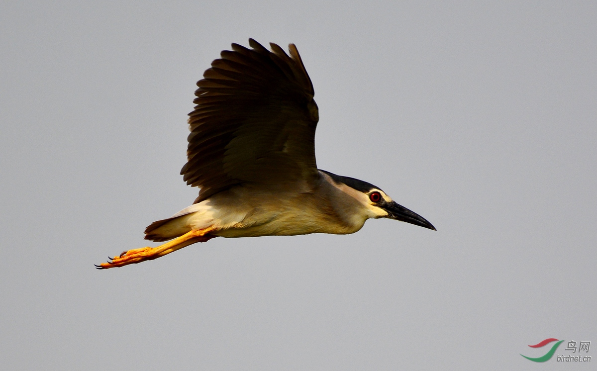 快乐摄影 320303 拷贝.jpg