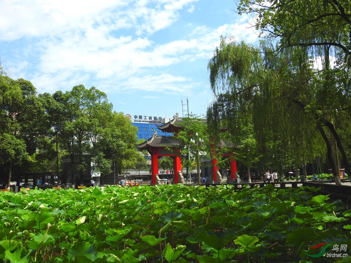 DSCN2409.JPG