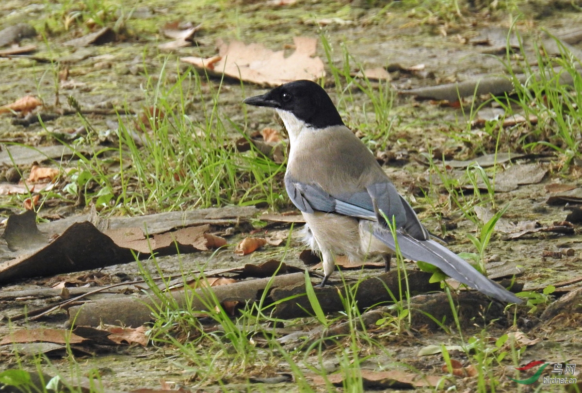 DSCN2586 ����.jpg