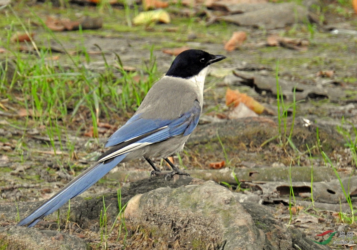 DSCN2591 ����.jpg