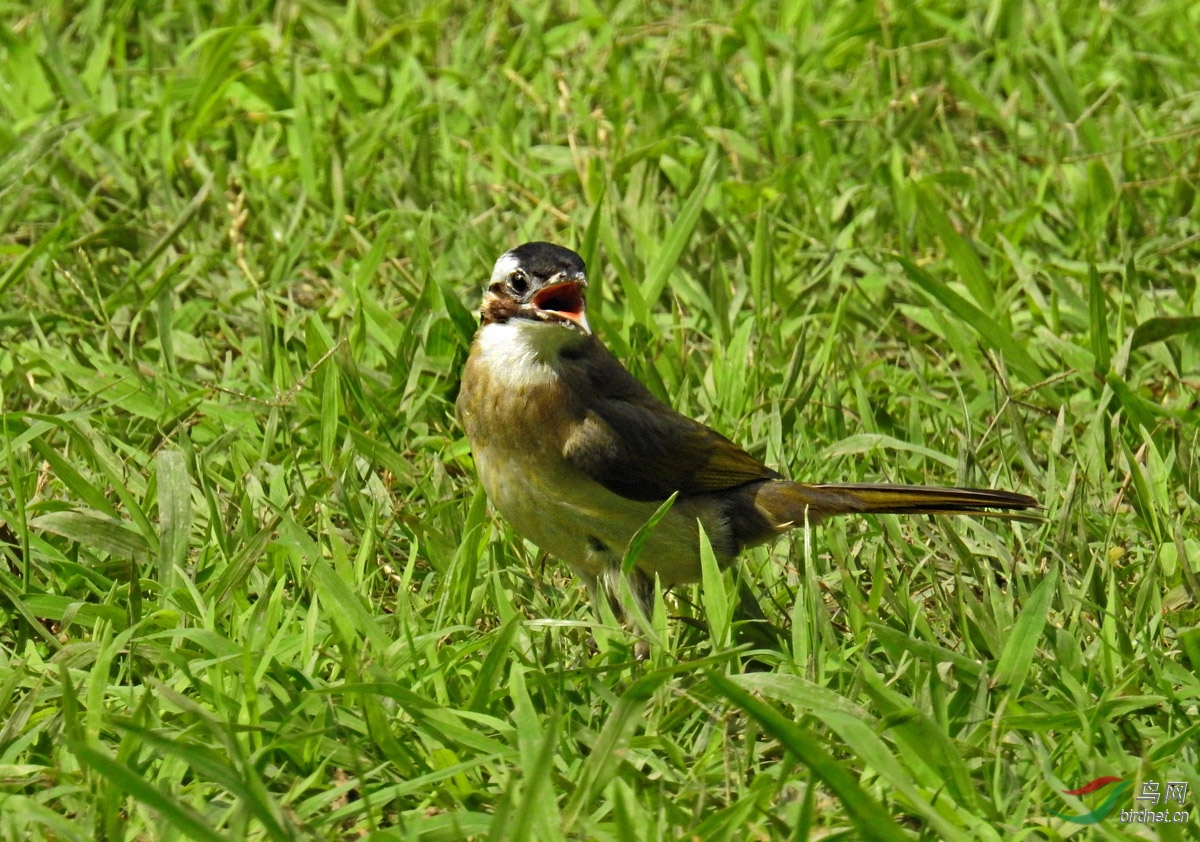 DSCN2629 ����.jpg