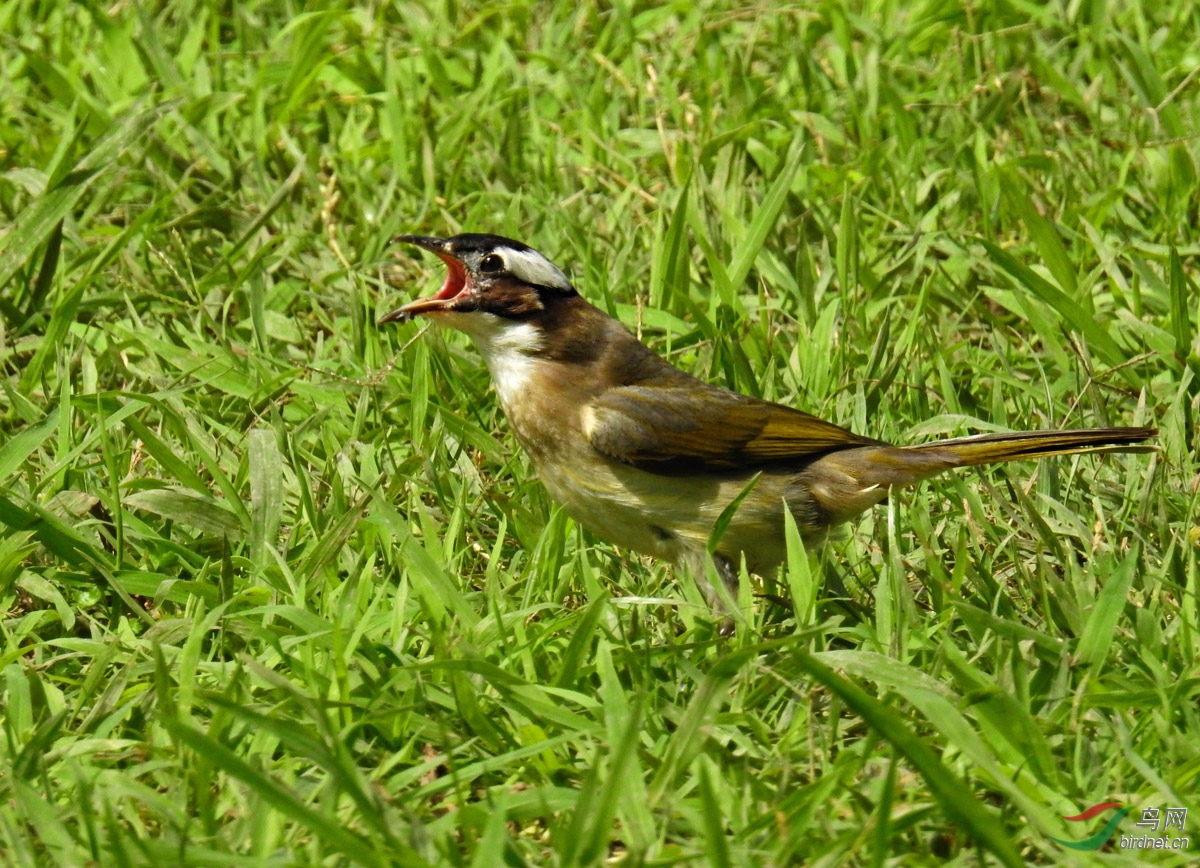 DSCN2628 ����.jpg