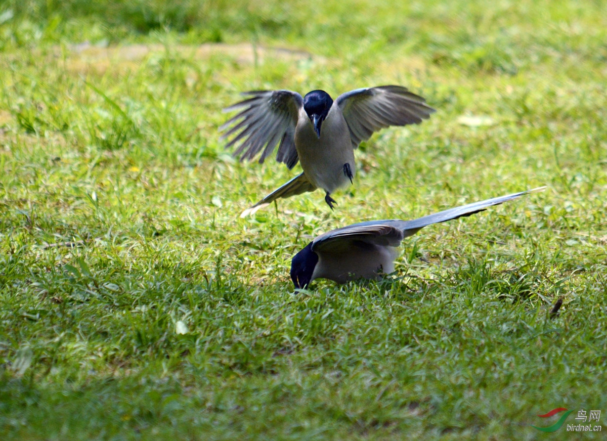 DSC_6377 ����.jpg