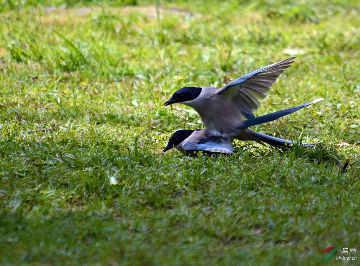 DSC_6384 ����.jpg