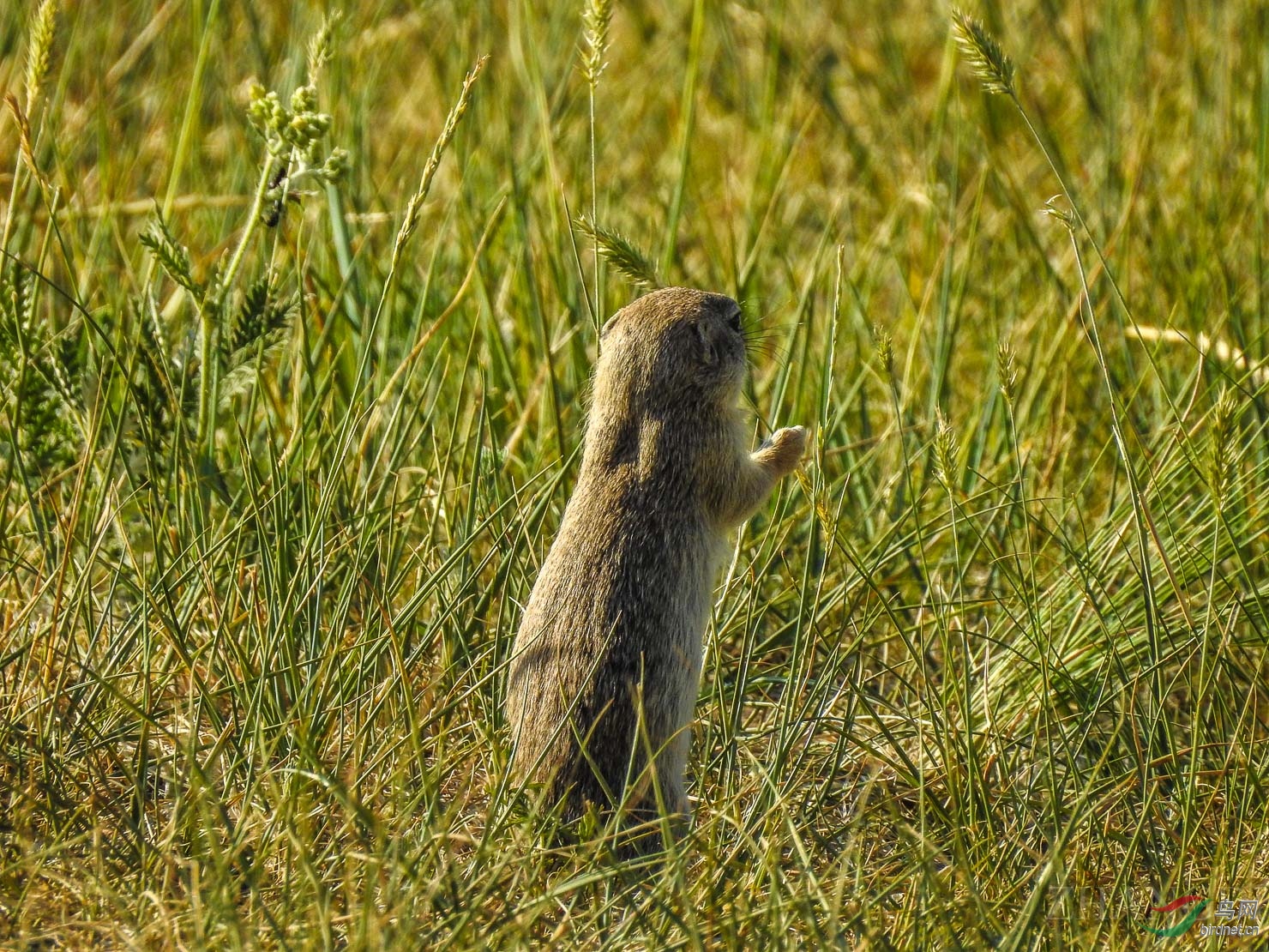 DSCN0616.jpg