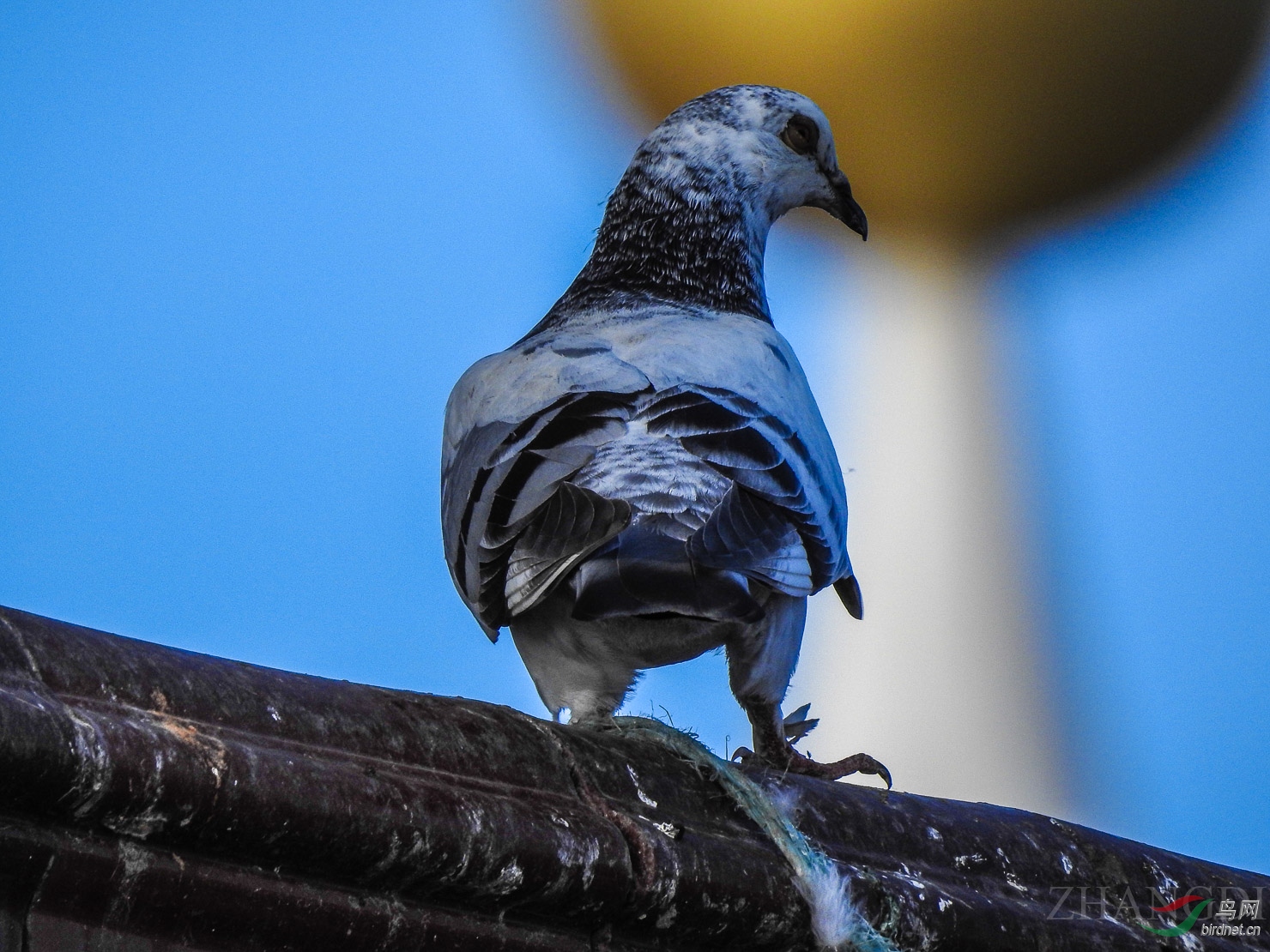 DSCN0633.jpg