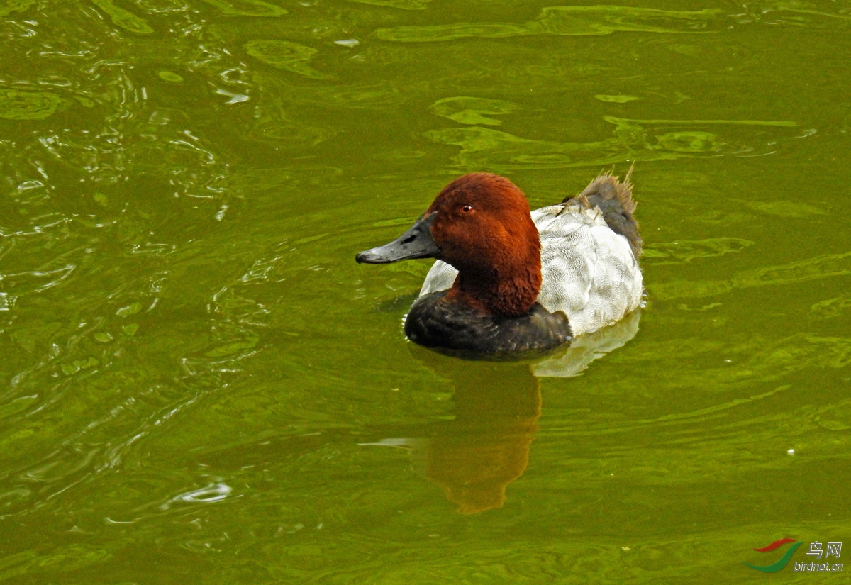 DSCN2638 ����.jpg