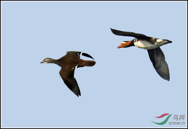 _DSC0021 ����2 ����3.jpg