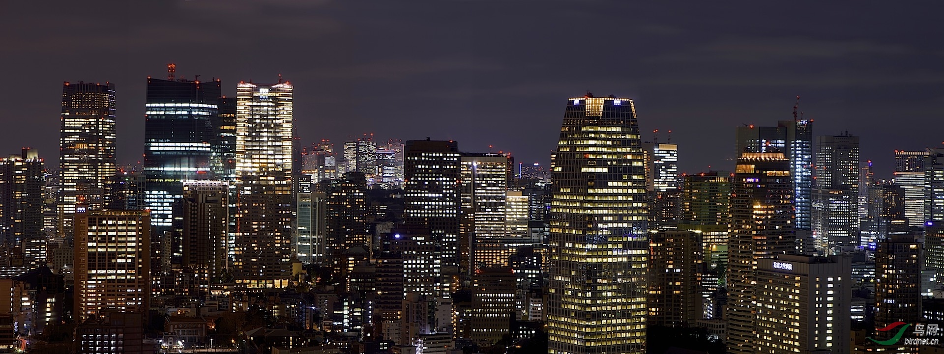 东京楼宇夜景