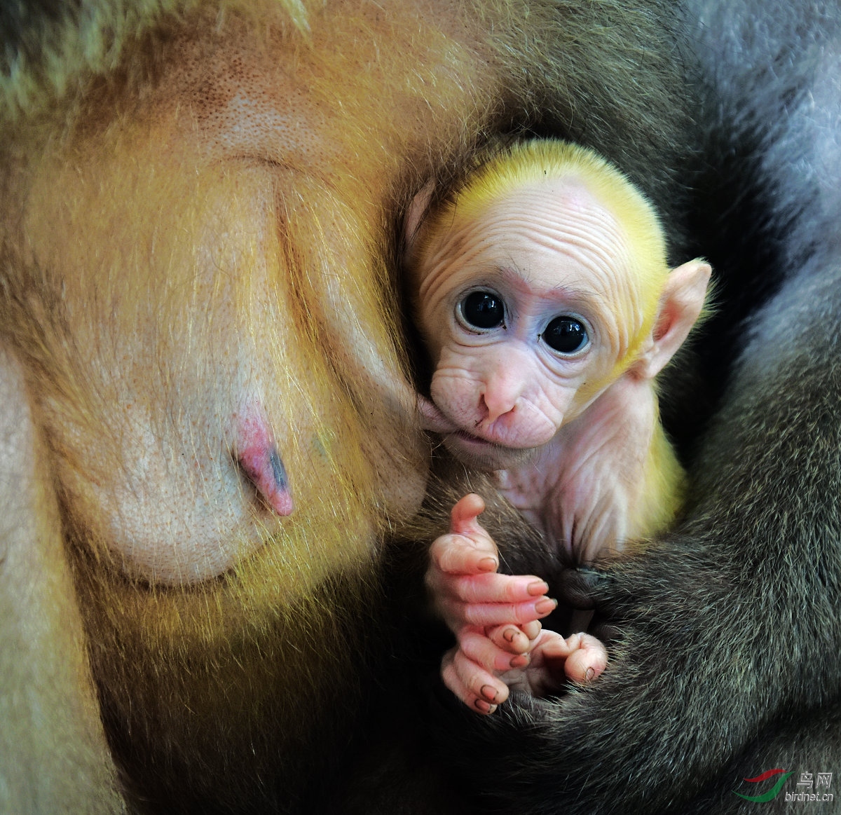 妈妈的怀抱真温暖