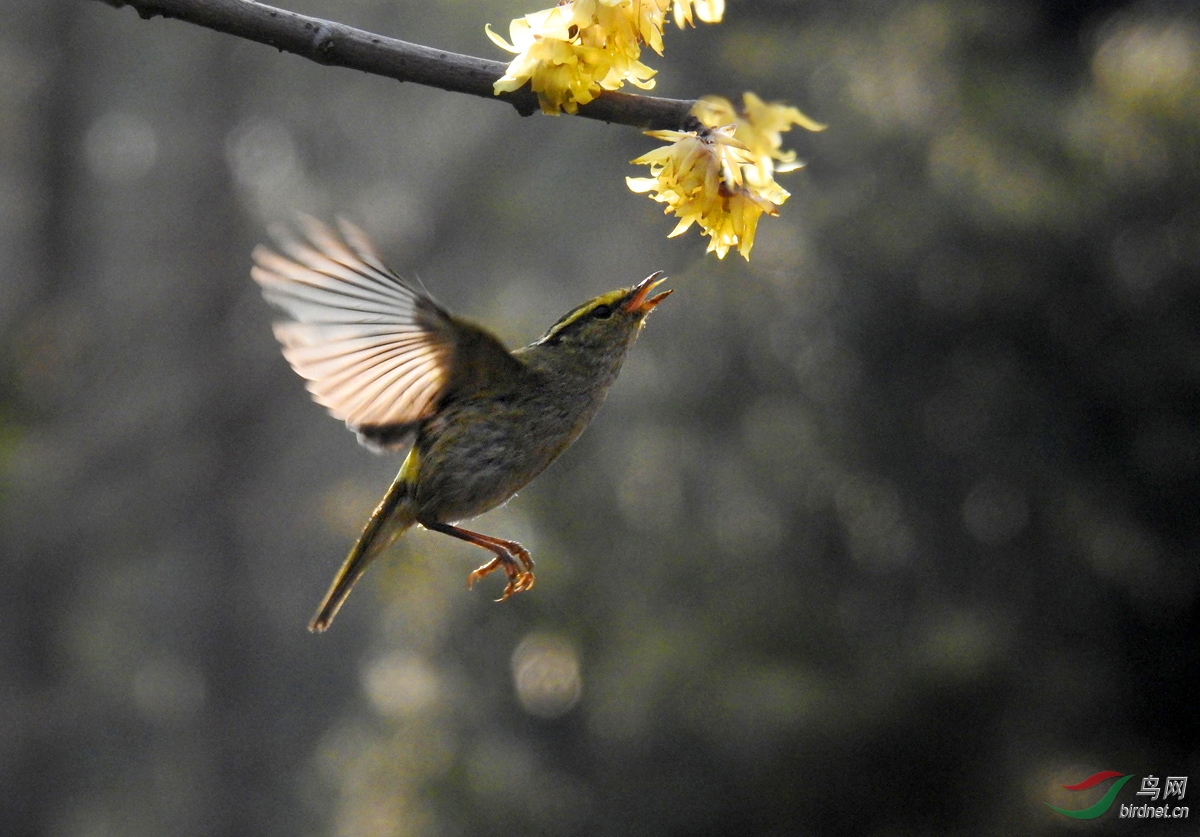 DSCN9619 ����.jpg