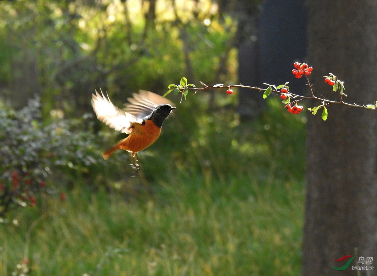 DSCN1707 ����2.jpg