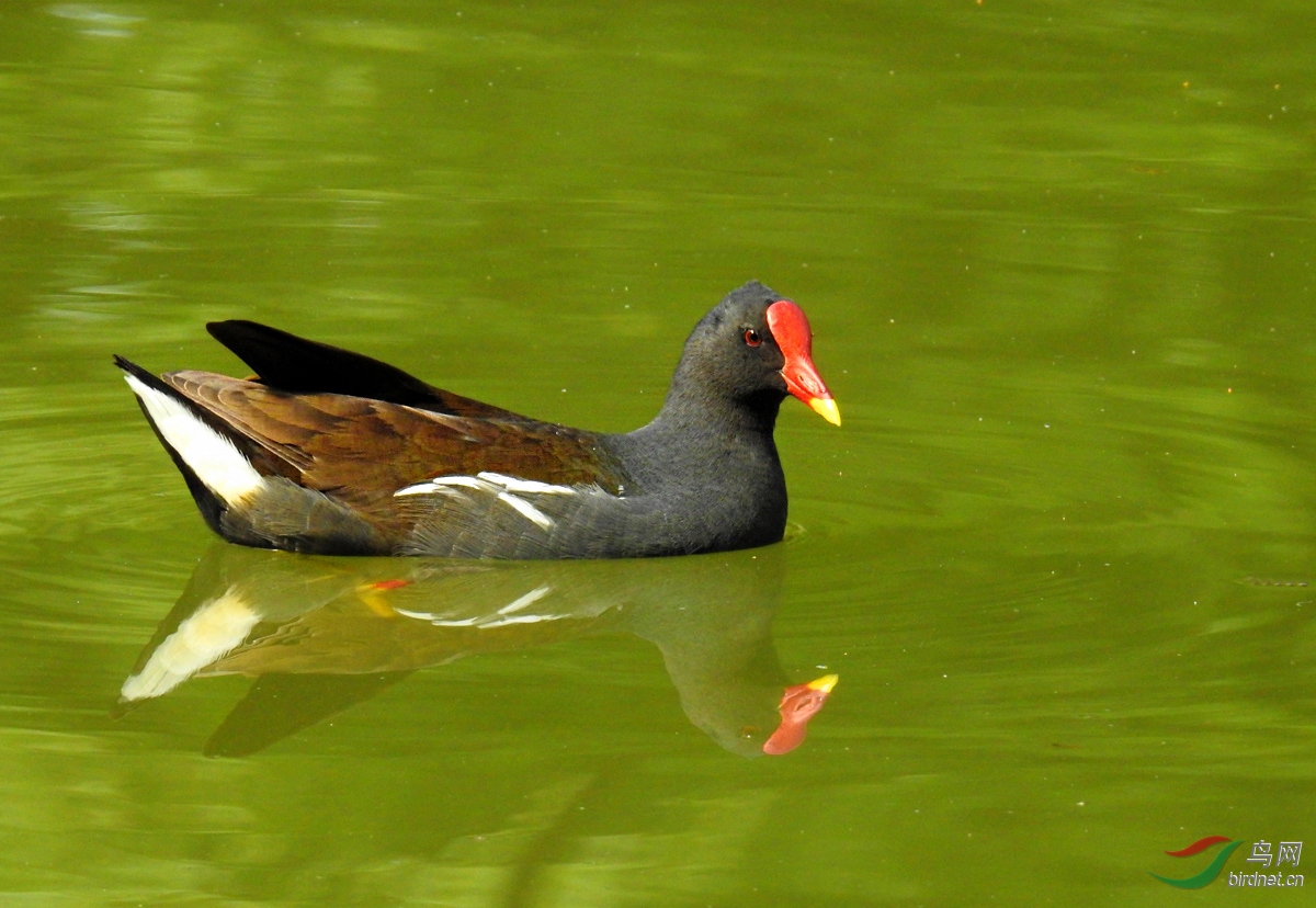 DSCN3111 ����.jpg