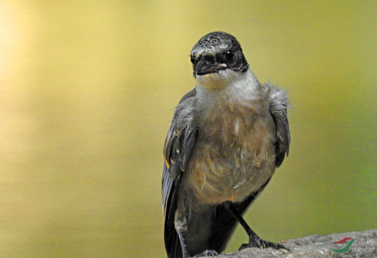 DSCN3443 ����2.jpg