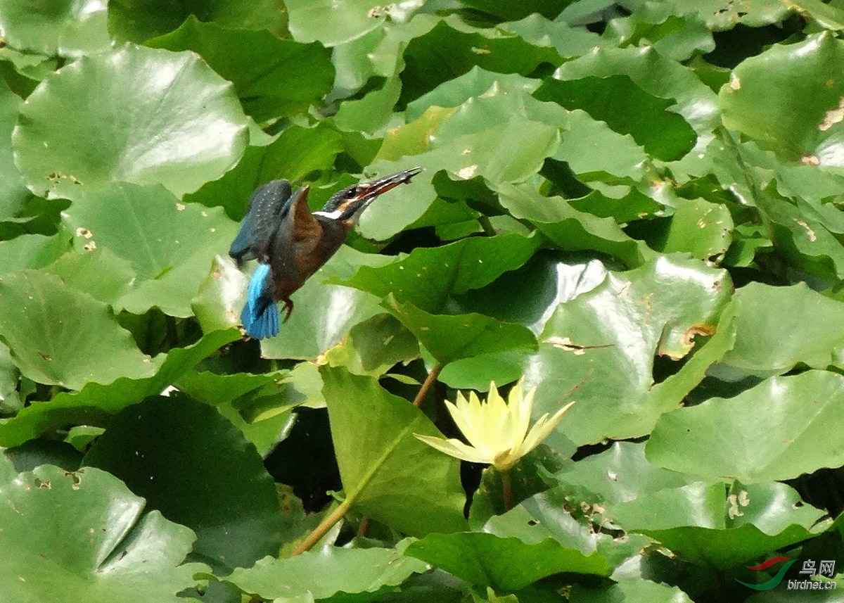 DSC07108 ����2.jpg