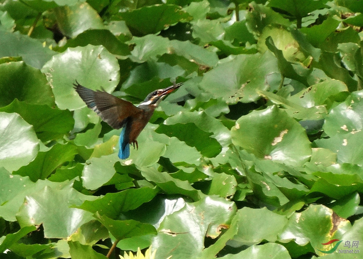 DSC07109 ����2.jpg