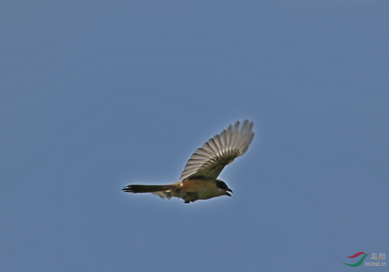 3O7A4675.jpg