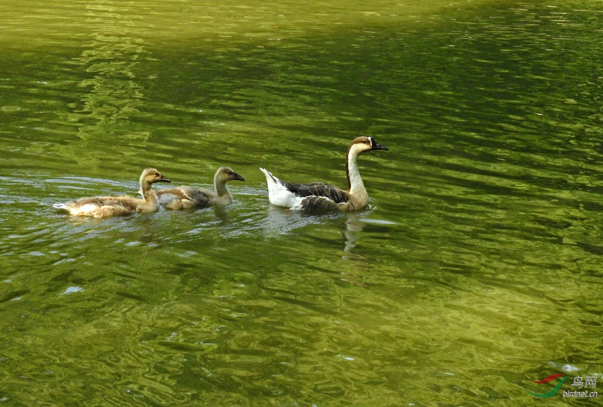 DSCN3454 ����.jpg