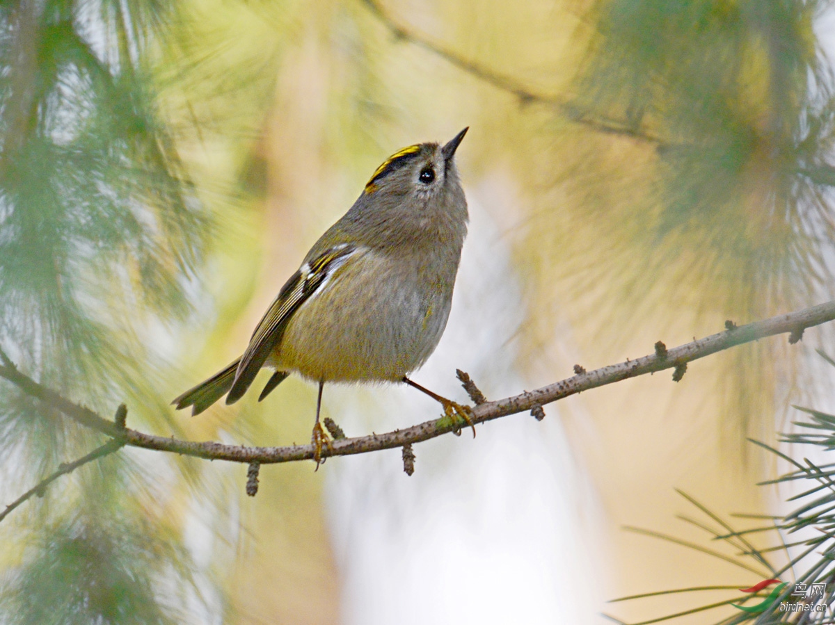 DSC_2744 ����.jpg