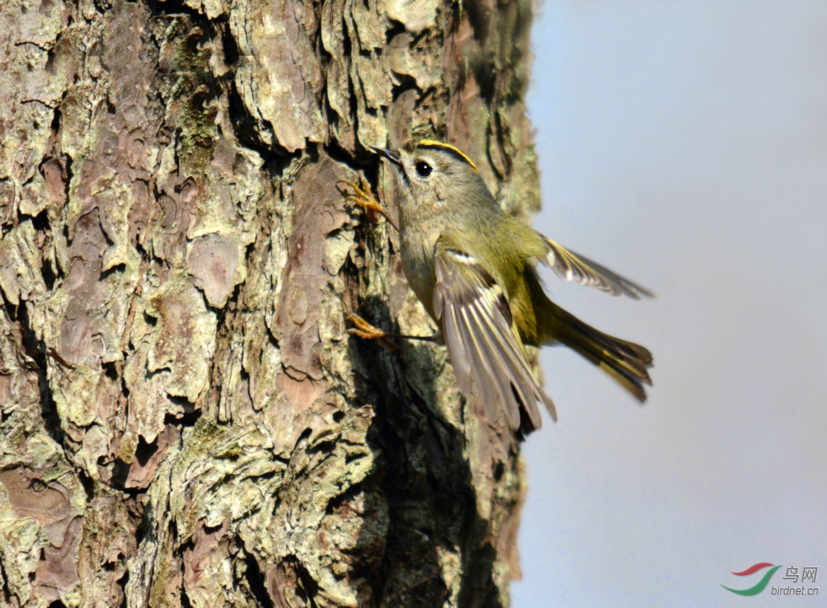 DSC_2966 ����.jpg