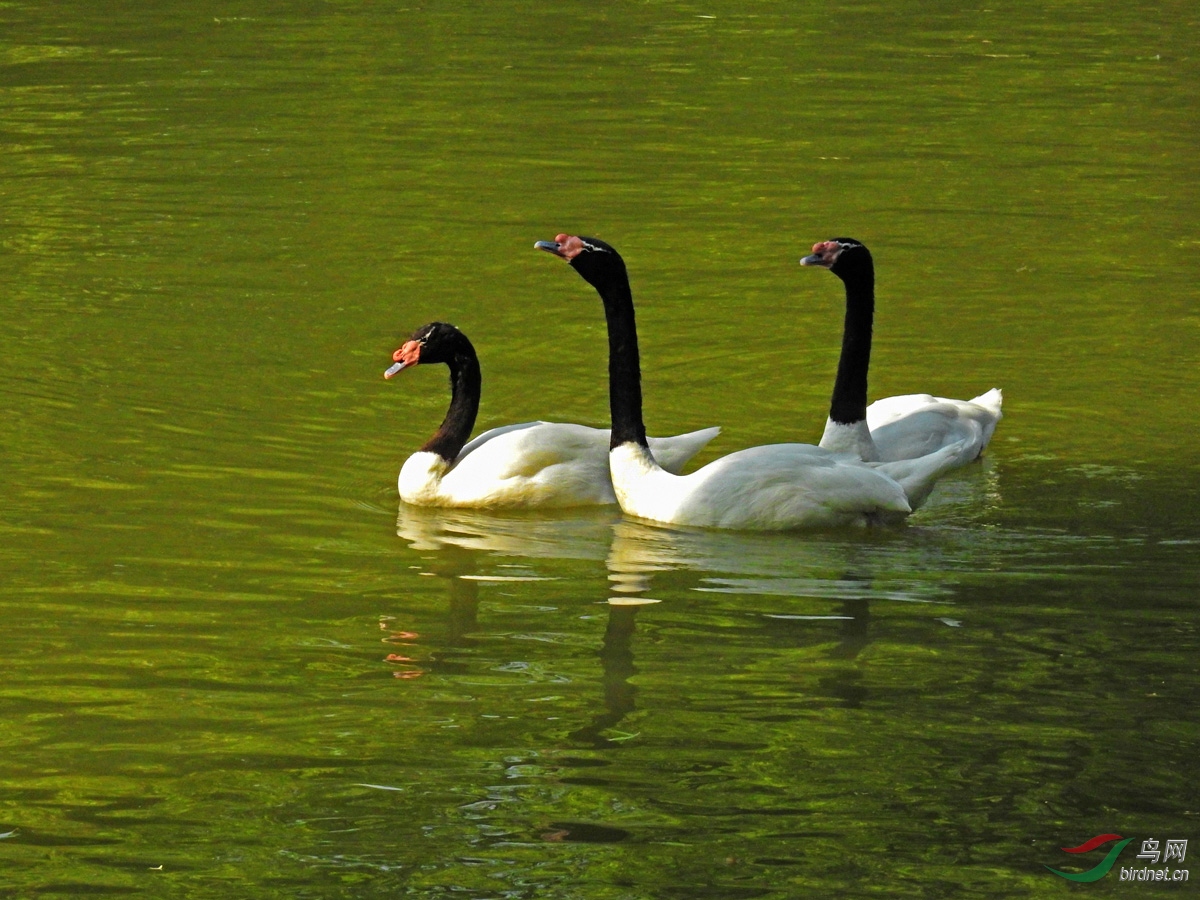 DSCN4006 ����.jpg