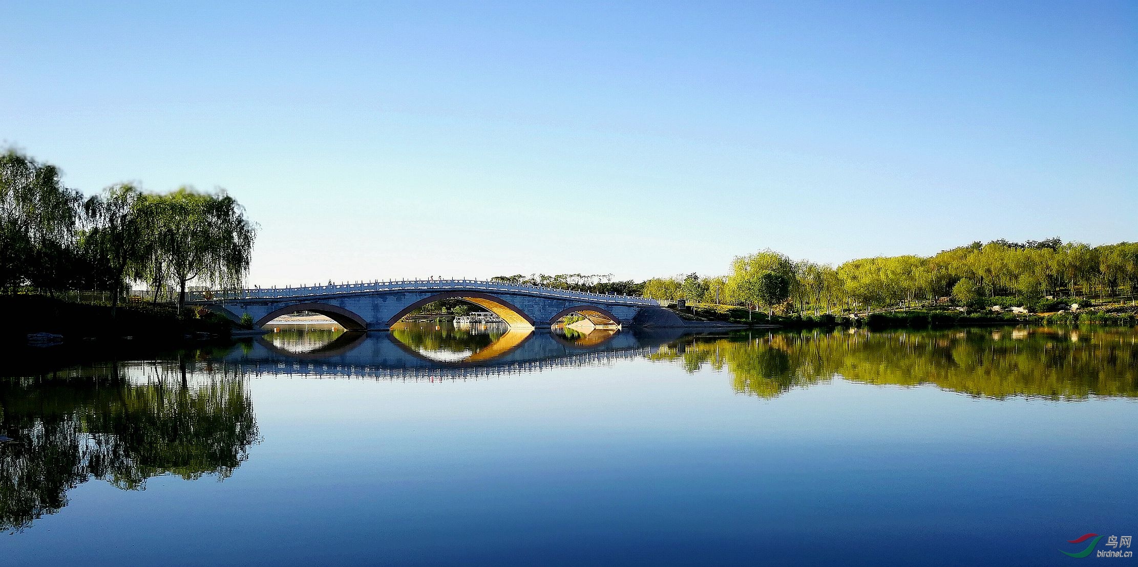 寂静的南海子公园(手机版)