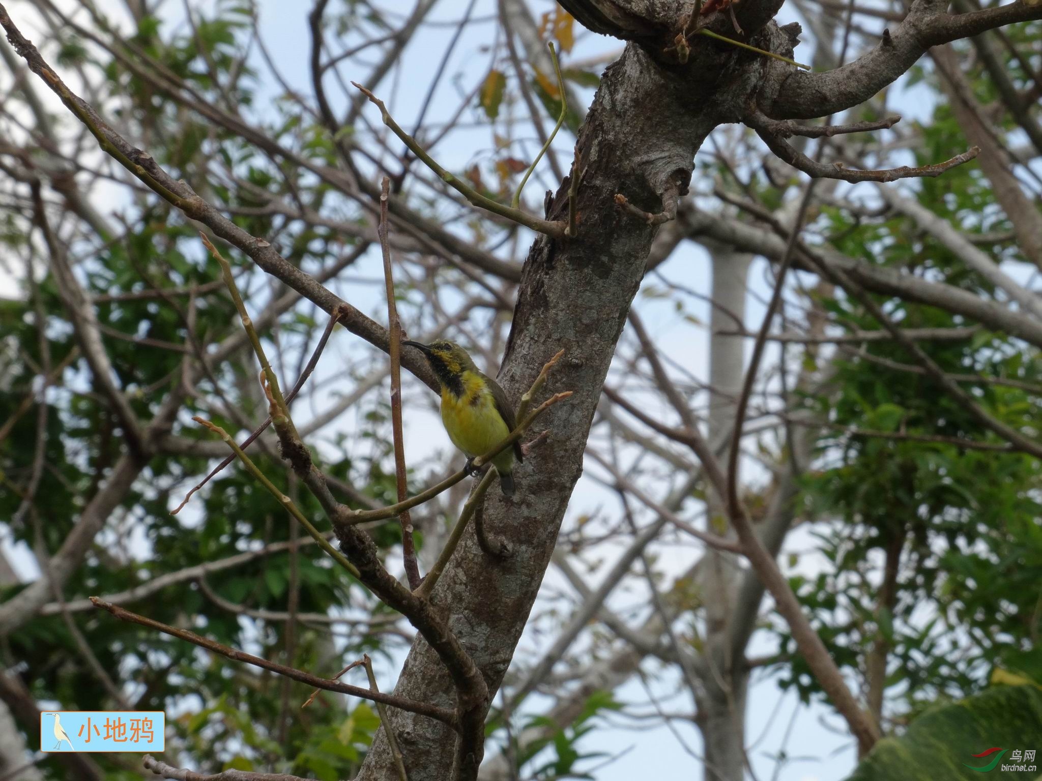 20170119132222.JPG