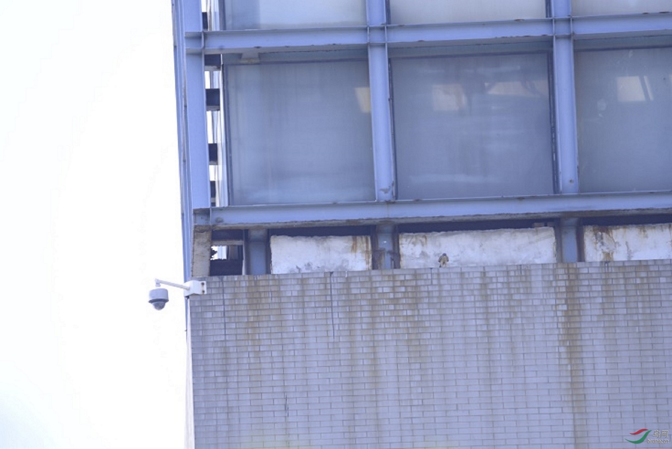 ����-�῵D800 ����156_BIR3840.JPG