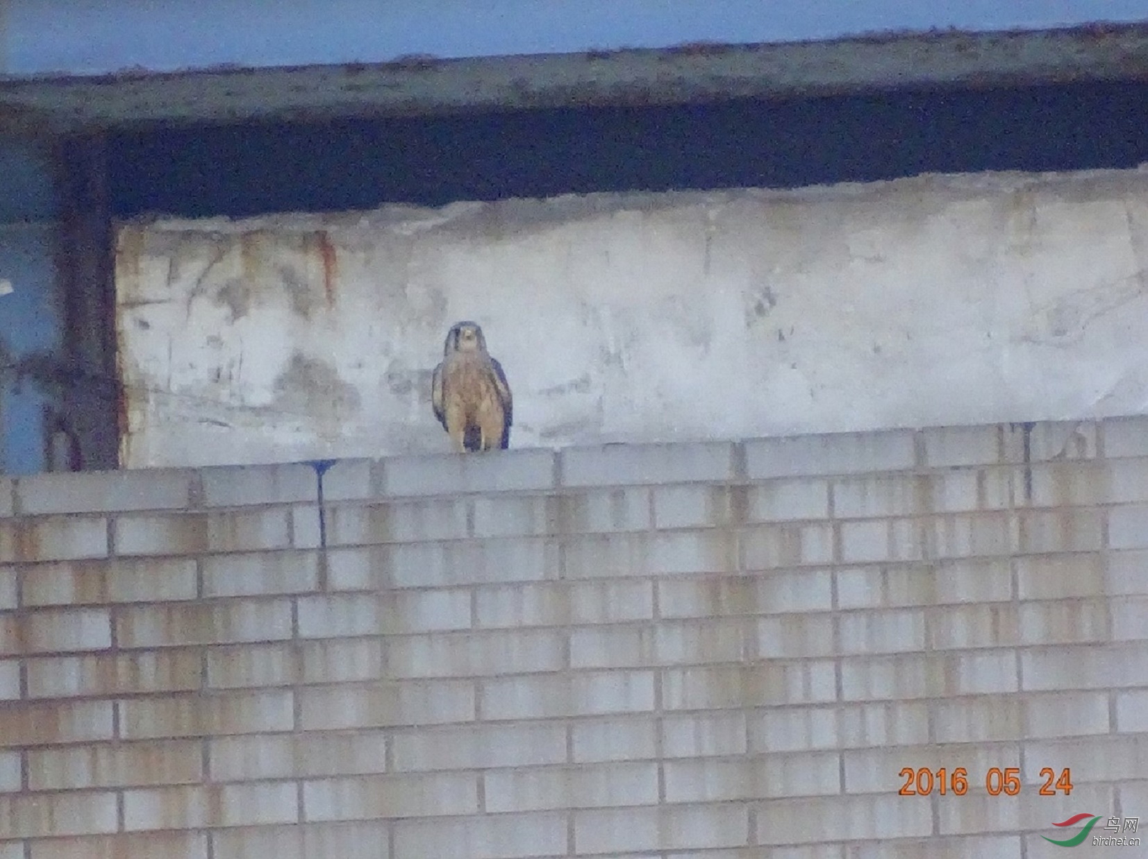 ����-����HX400DSC07116.JPG