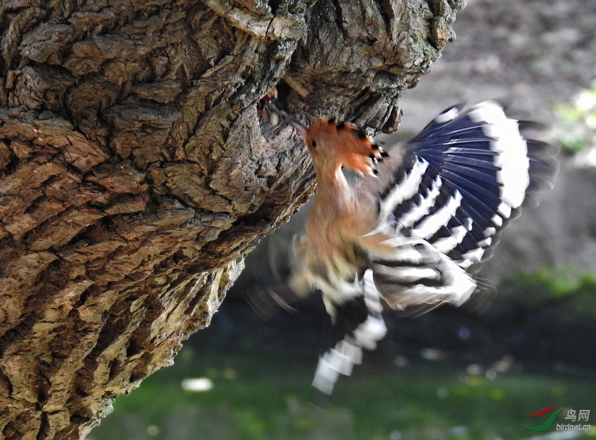 DSCN3652 ����.jpg