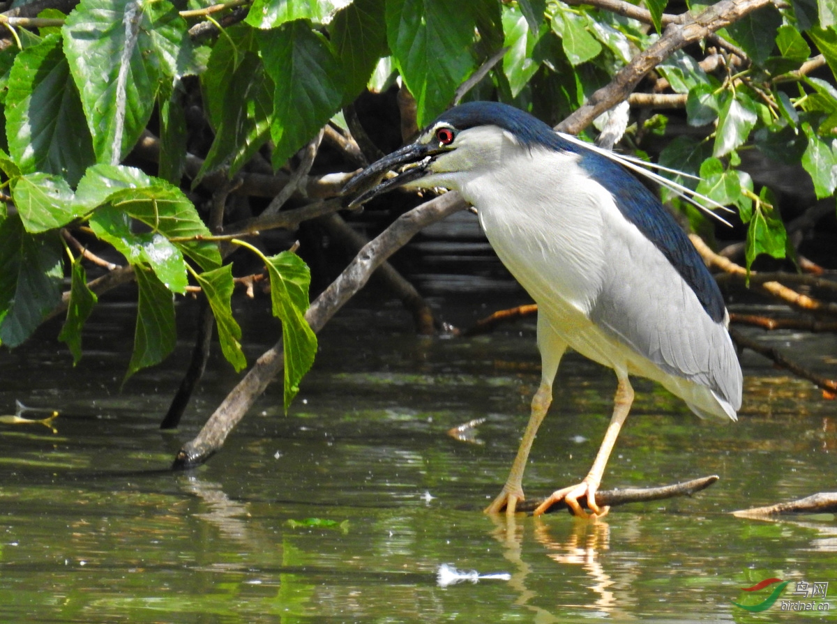 DSCN3637 ����.jpg